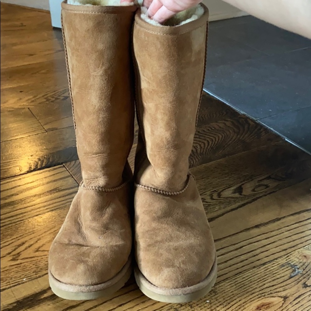Tall Chestnut Ugg Boots